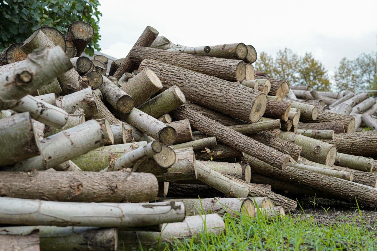 IMAGE 2025-10-19 15:39:26