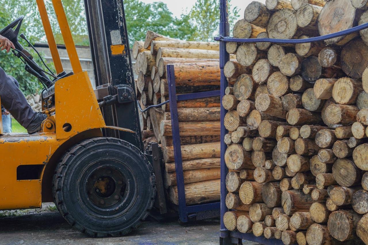 IMAGE 2025-10-19 15:39:34