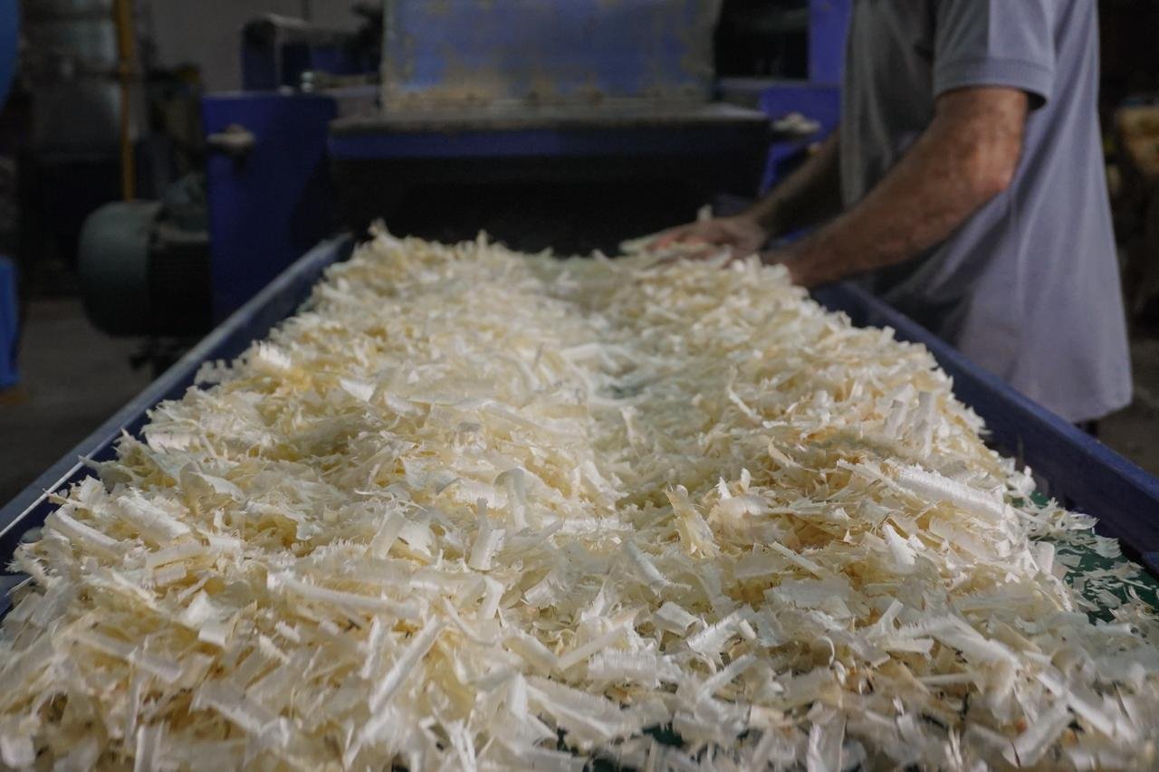 IMAGE 2025-10-19 15:39:40