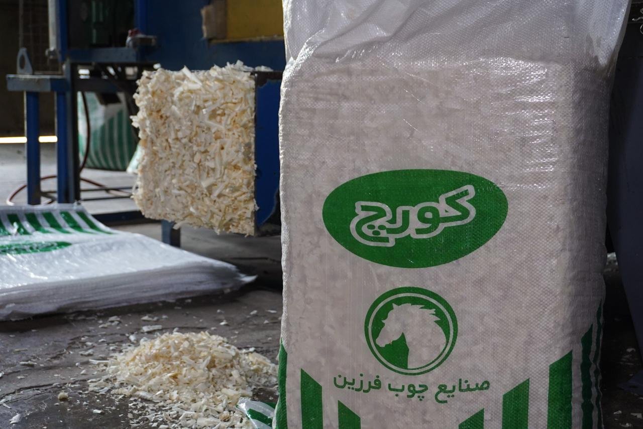 IMAGE 2025-10-19 15:39:48